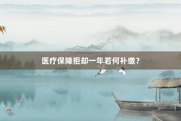 医疗保障拒却一年若何补缴？