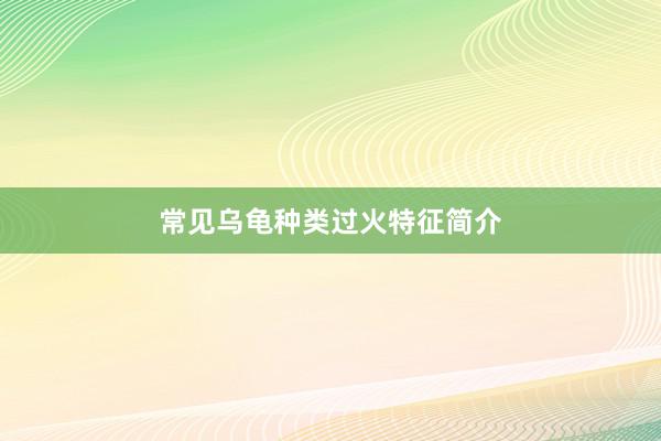常见乌龟种类过火特征简介