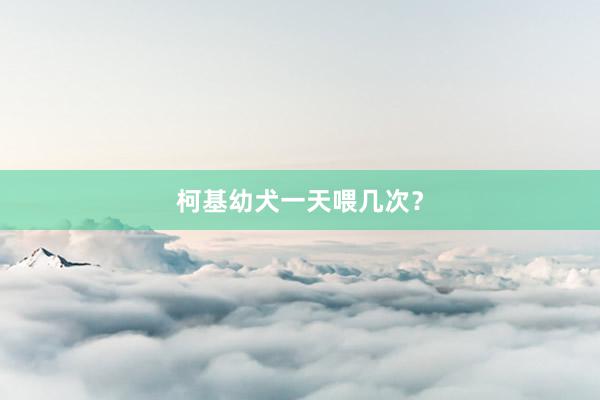 柯基幼犬一天喂几次？